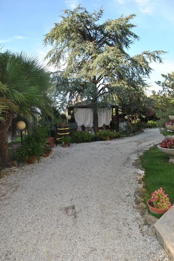 Villino Alle Terme Витербо Екстериор снимка